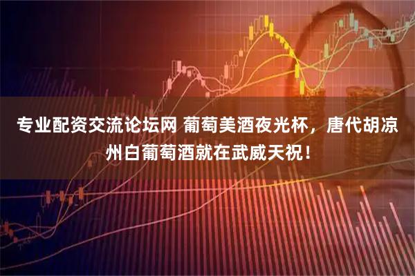 专业配资交流论坛网 葡萄美酒夜光杯，唐代胡凉州白葡萄酒就在武威天祝！
