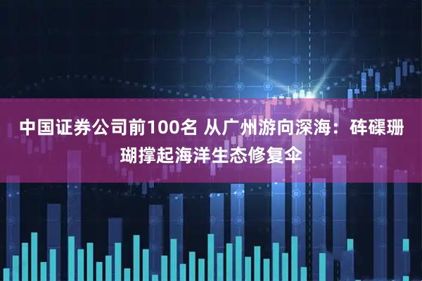 中国证券公司前100名 从广州游向深海：砗磲珊瑚撑起海洋生态修复伞